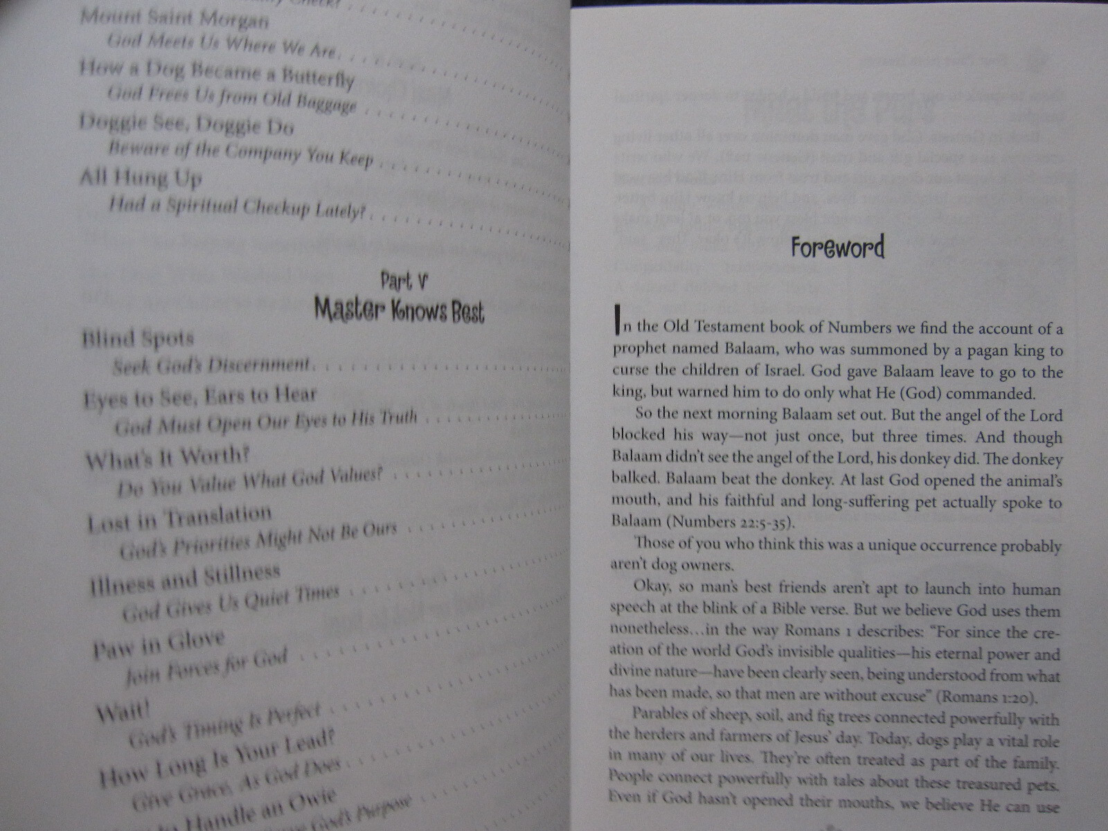 Four Paws from Heaven: Devotions for Dog Lovers M.R. Wells; Kris Young and Con..