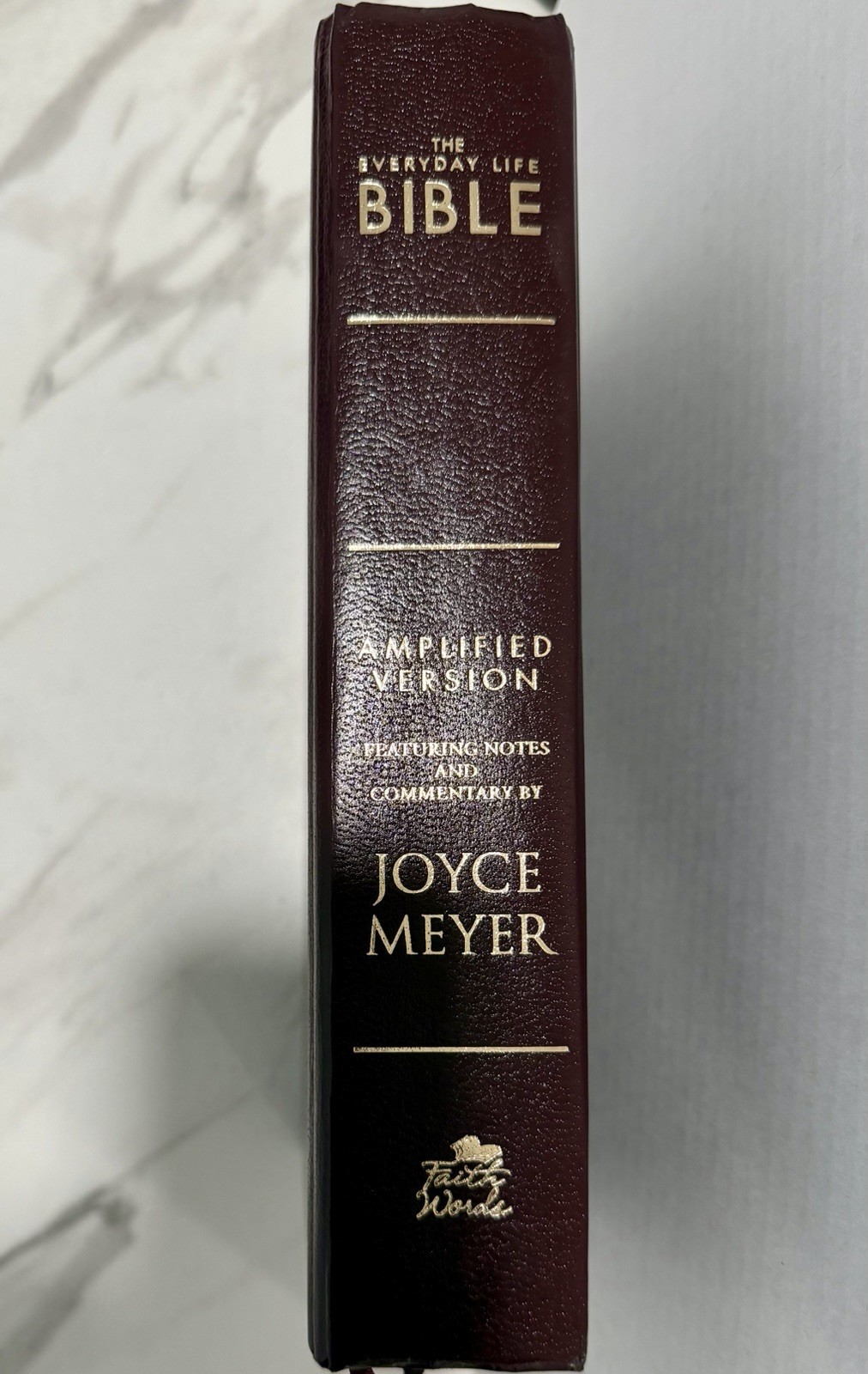 Joyce Meyer The Everyday Life Bible Amplified Version Leather Bound 2009