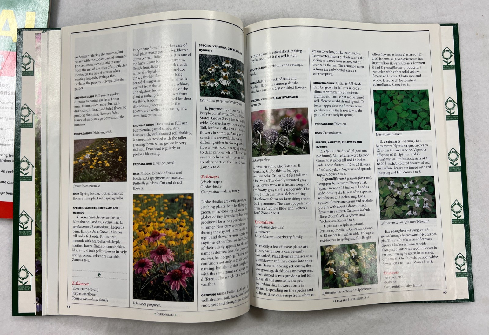 Gardening Essentials- Perennials (HB) &Bonsai & Orchids (PB)