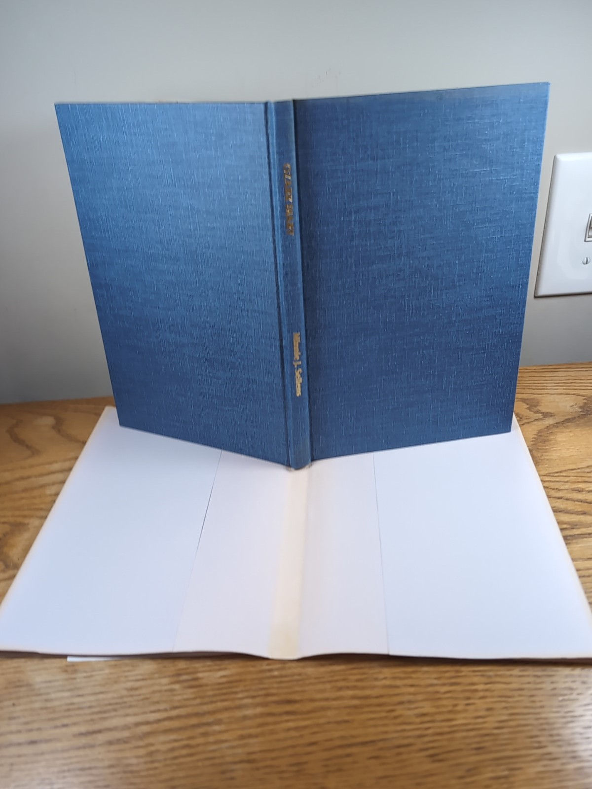 Ozark Diary By Minnie J. Sellens 1984, Privately Printed. Unique Book