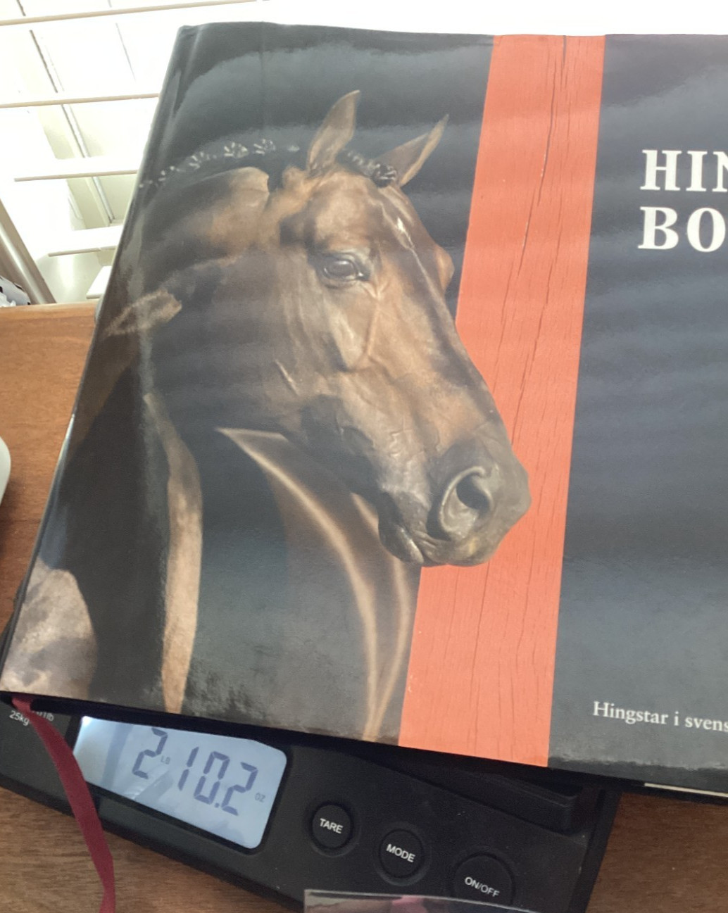 Swedish Horse Book Hingstboken: Hingstar i Svensk Varmblodsavel 2009 Hardcover