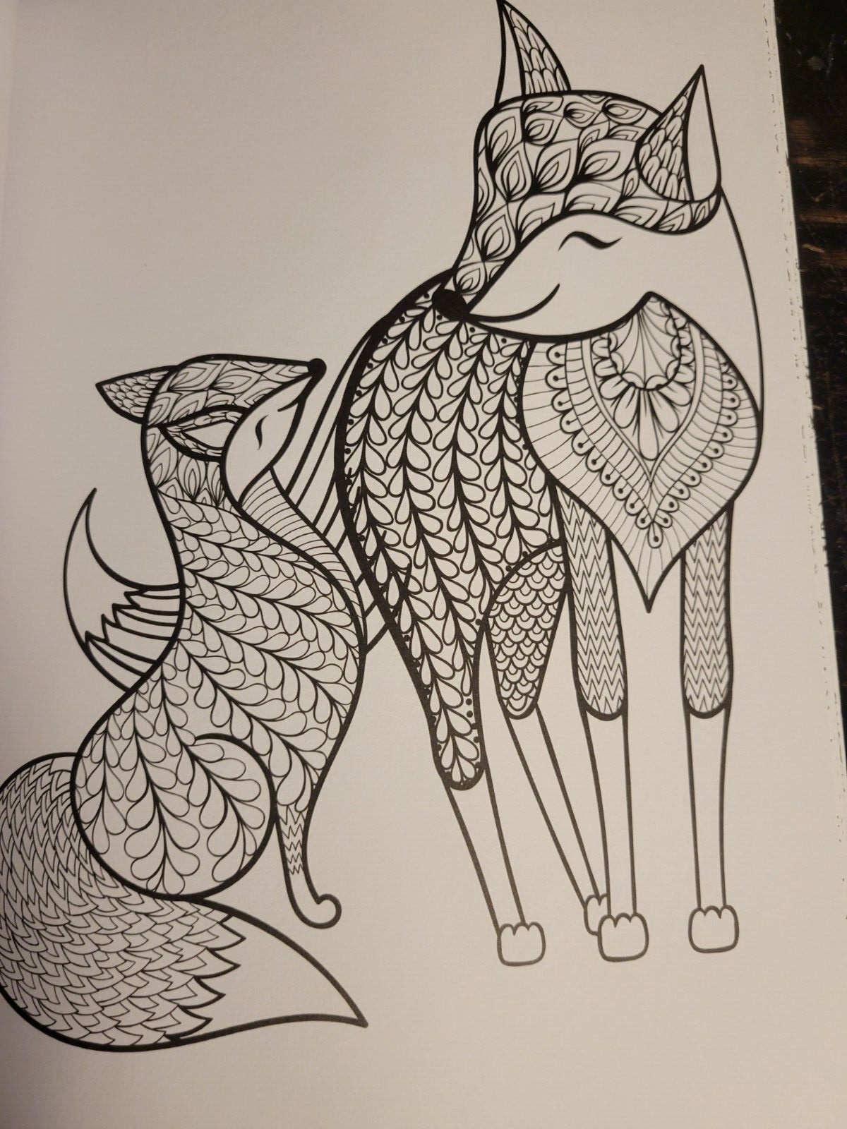 COLORING ANIMAL FRIENDS Vol 2 Adult Coloring Book With 47 Prints Ready To Frame