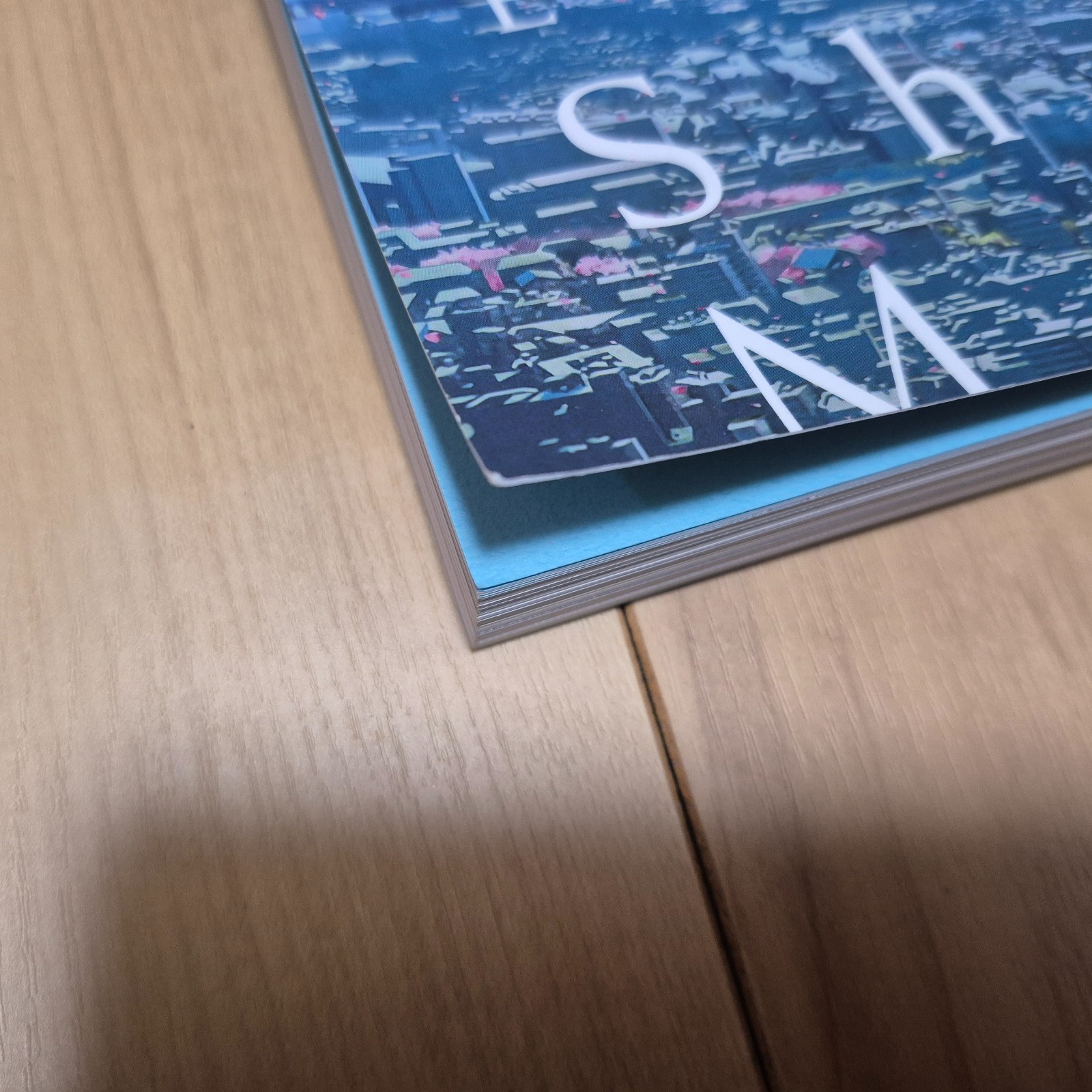 Makoto Shinkai Exhibition – Animation Production Feature Book Shinkai Makoto