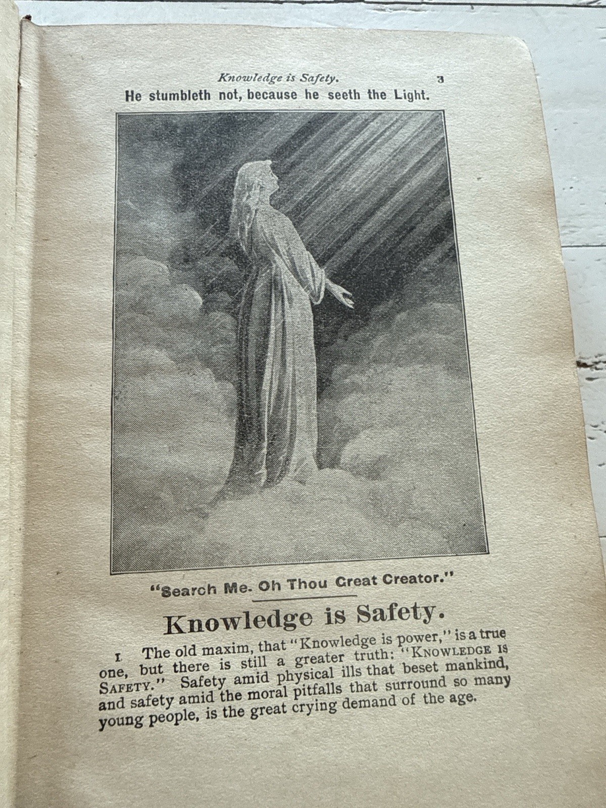 Search Lights on Health 1913 HC Jefferis Nichols Antique Sex Education Illustrat