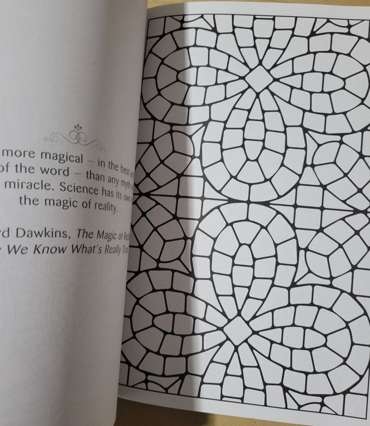 SPLASH OF COLOR – Vol. 27 – Creative Expressions Adult Coloring Book