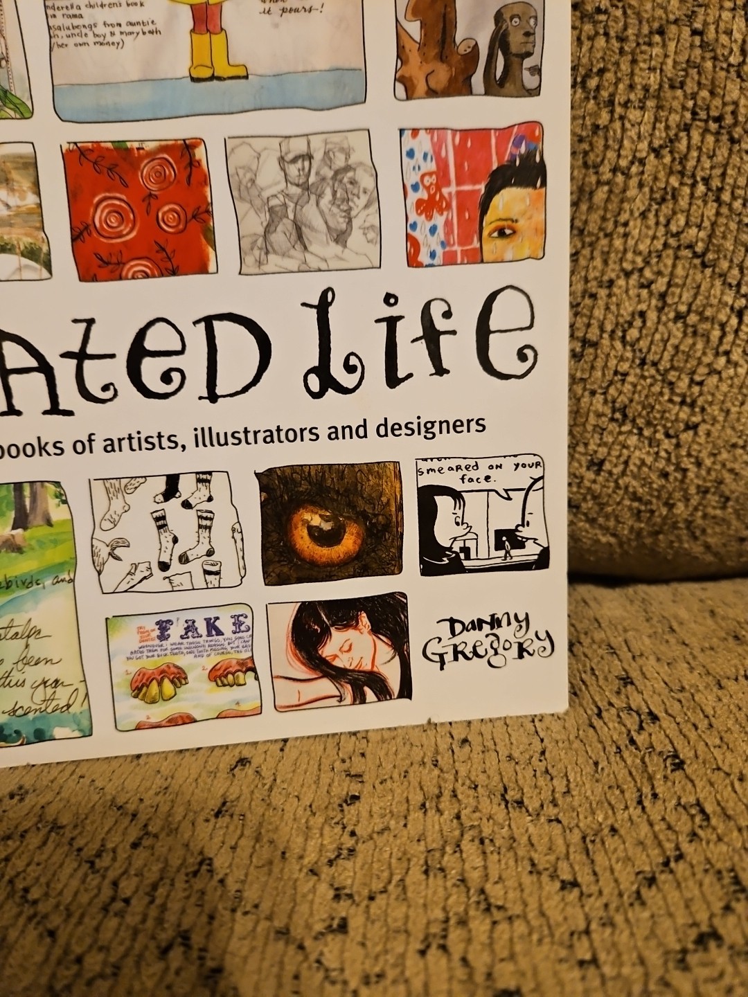 An Illustrated Life: Drawing Inspiration from the… by Gregory, Danny Paperback