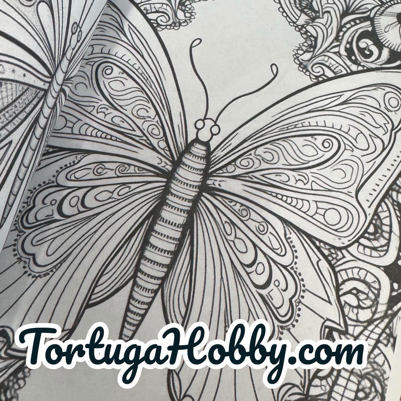 The World Of Butterflies – Adult Coloring Book – Coloring Book. 100+ Pages.