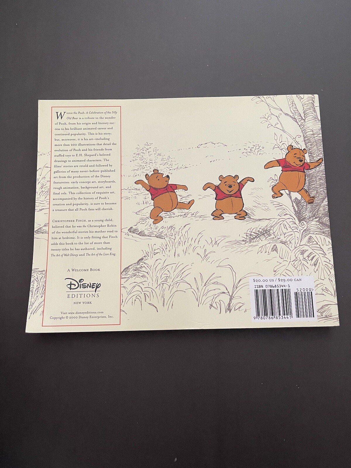 Disney’s Winnie the Pooh A Celebration of the Silly Old Bear -2002