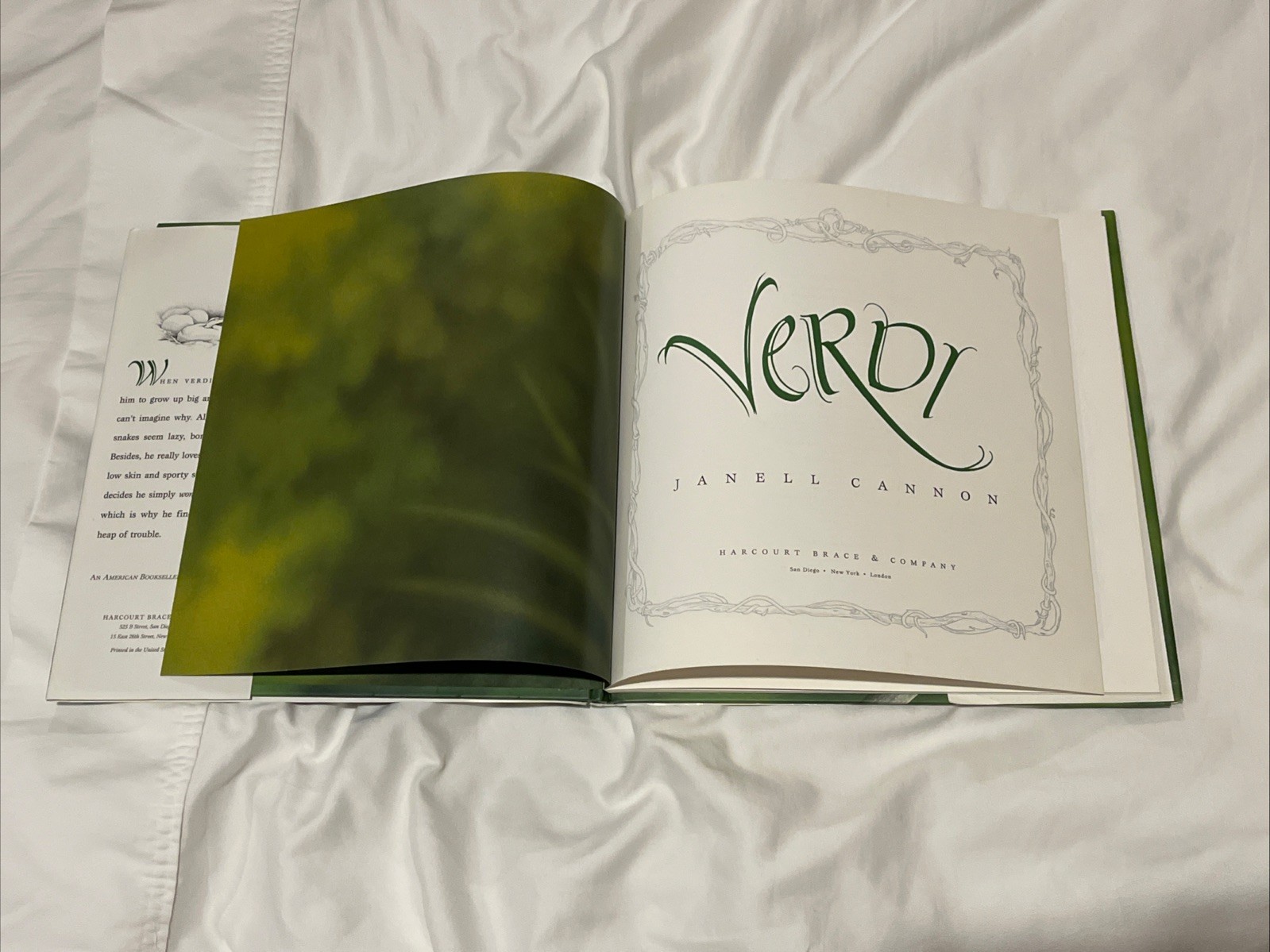 Verdi by Janell Cannon (1997, Hardcover) — One-Owner, Very Good Condition
