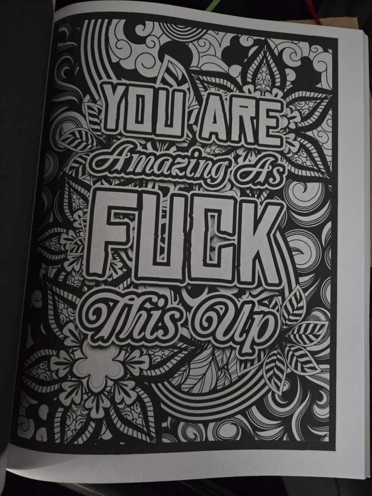Swear Word Coloring Book for Adults Easy Midnight Edition Sweary Coloring Book