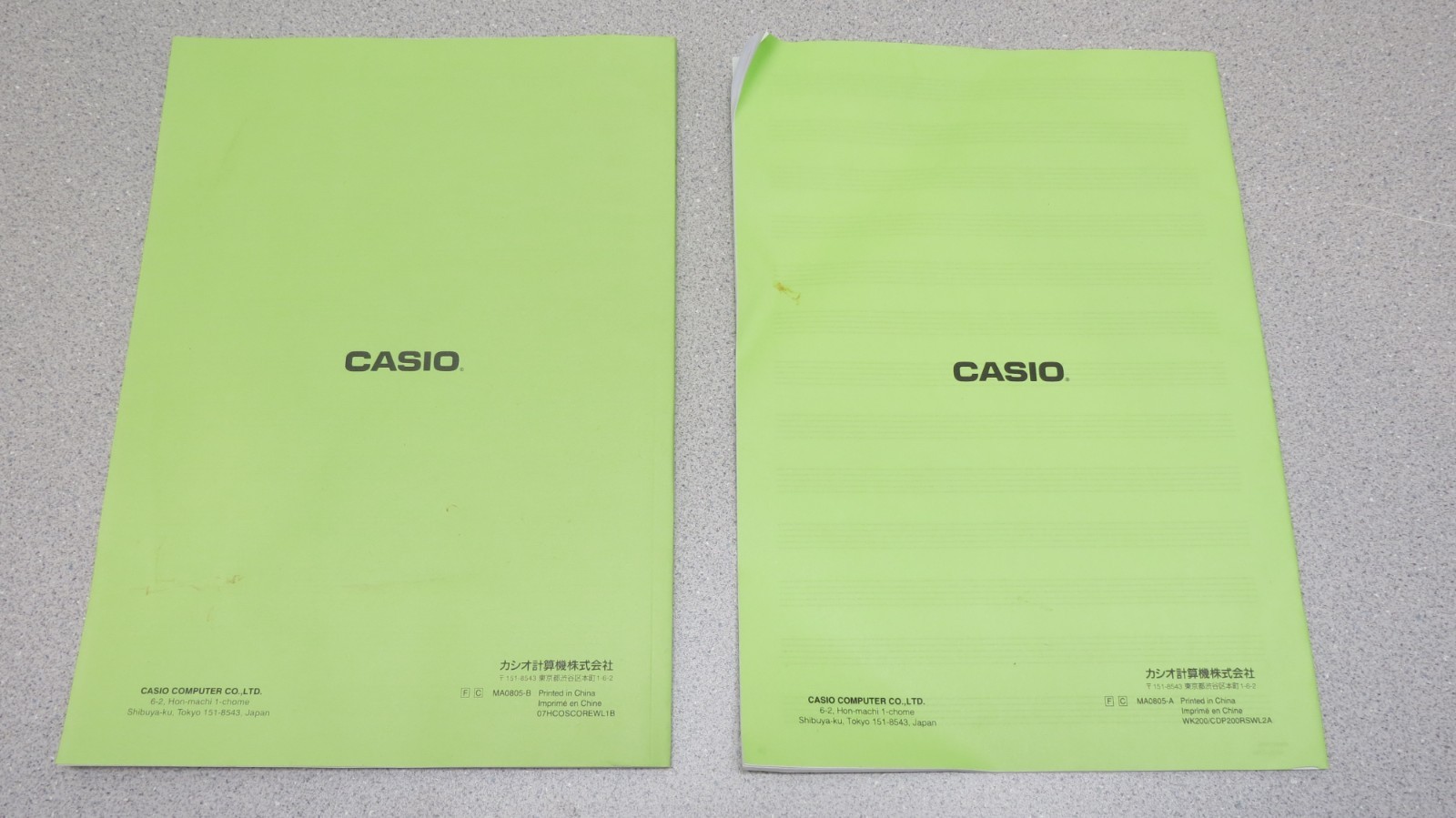 Lot of 2 Casio Songbook Vintage Keyboard Songbook 136 pages / 40 pages