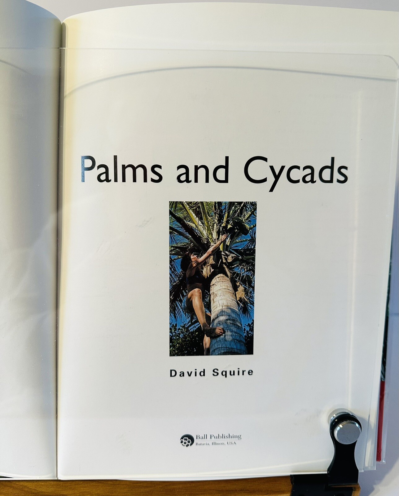Palms And Cycads: A Guide To Selecting, Growing & Propagating David Squire New