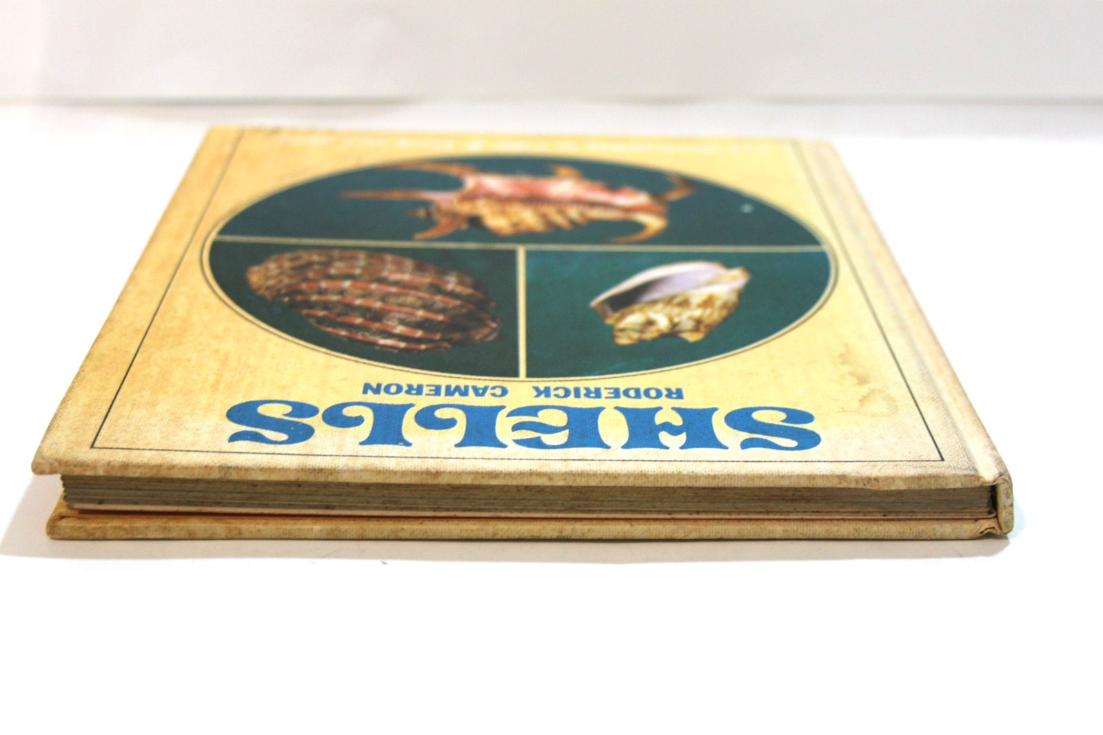 Vintage Shells Roderick Cameron 1972 Octopus HC Illustrated Sea Shell Ref Book