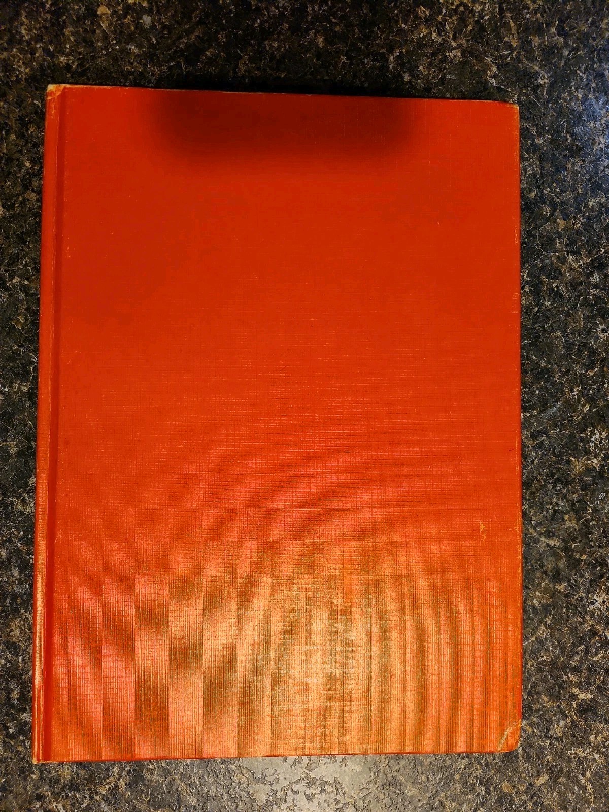Three Little Horses at the King’s Palace by Piet Worm Random House Illustrated …
