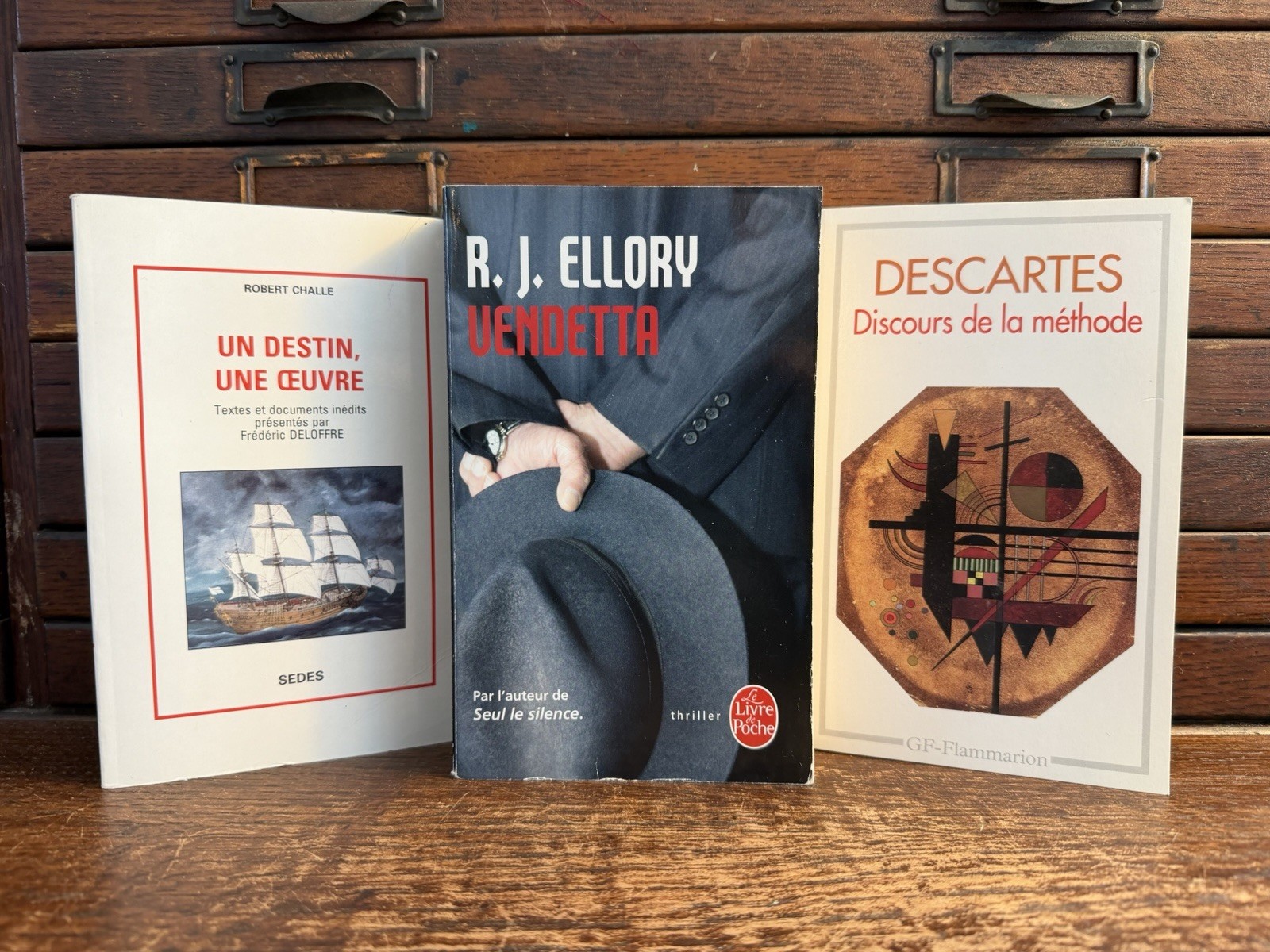 Lot of 25 French Pocket Paperback Books Morrison Ellory Barjavel Descartes Camus