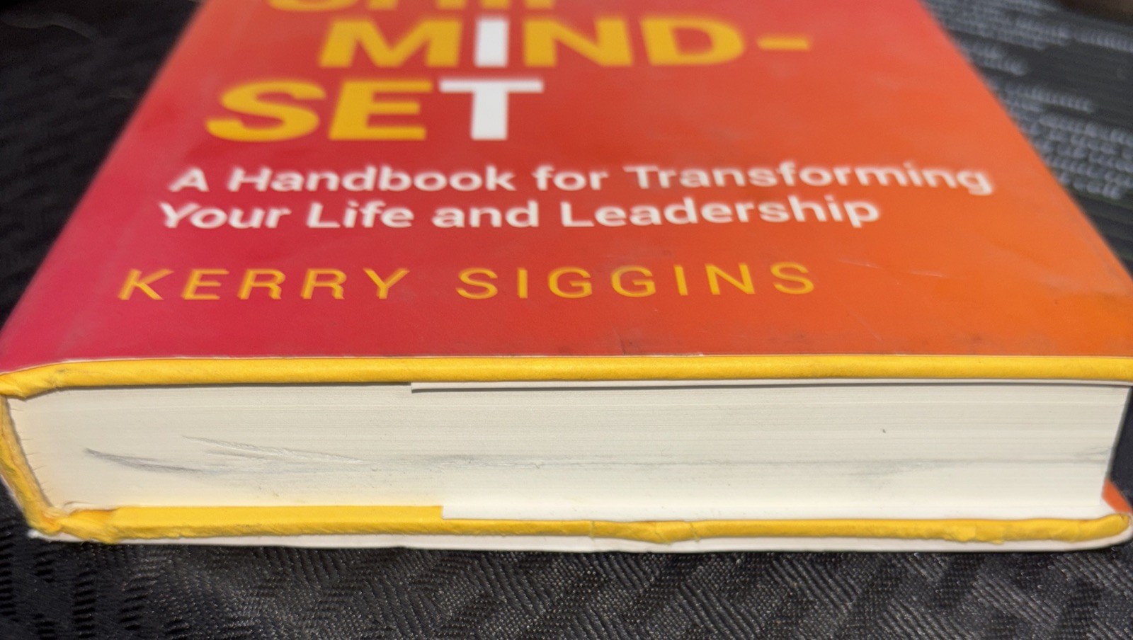 The Ownership Mindset: A Handbook for Transforming Your Life and Leadership
