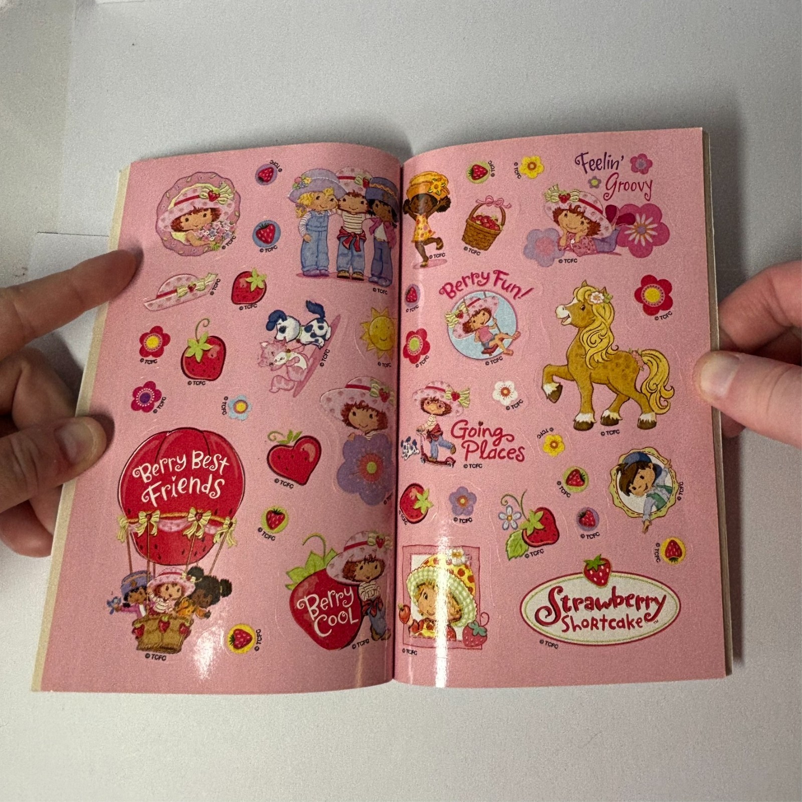 Dalmatian Press 2005 StrawBerry Shortcake Sticker Activity Book Some used page