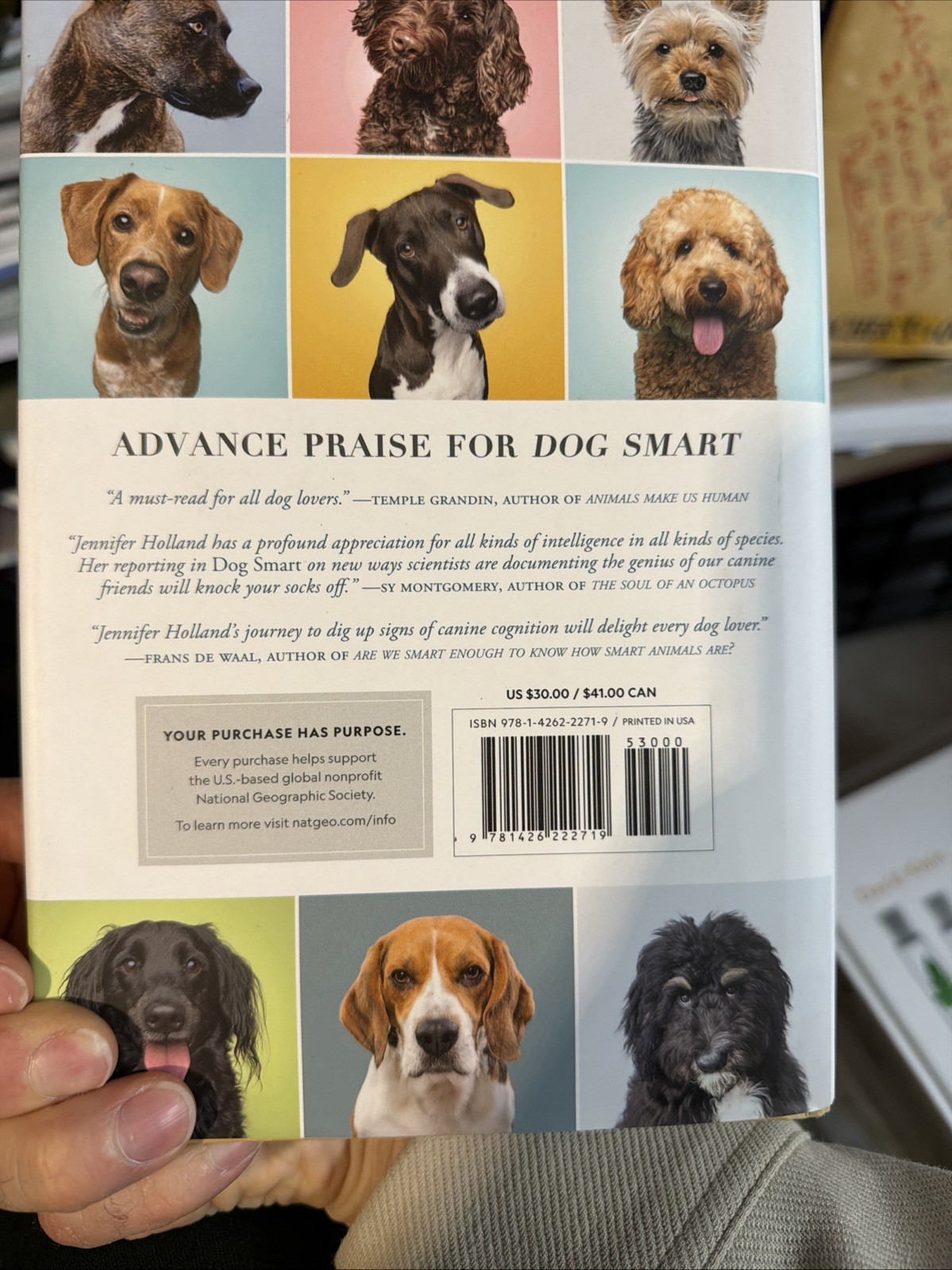 Dog Smart : Life-Changing Lessons in Canine Intelligence by Jennifer S. Holland