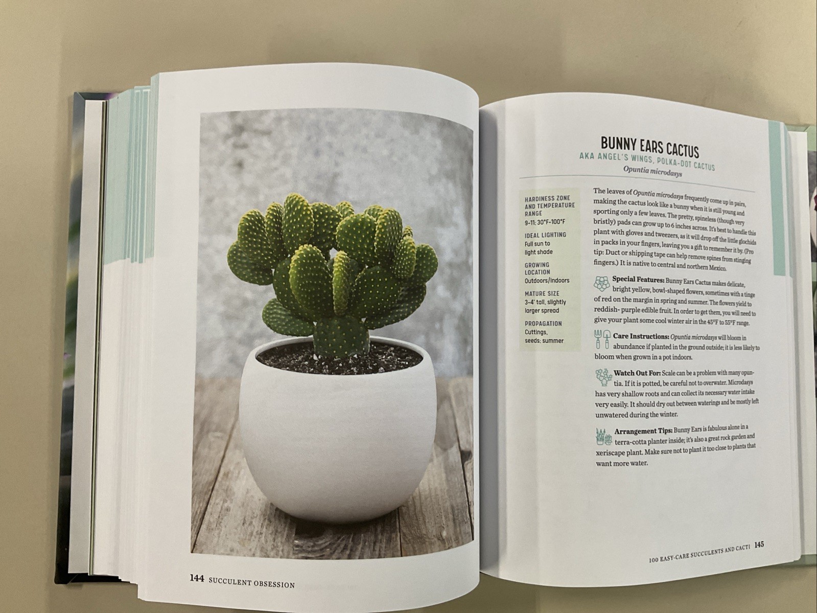 Succulent Obsession Complete Guide by Ken Shelf HC 2022 Rockridge Press