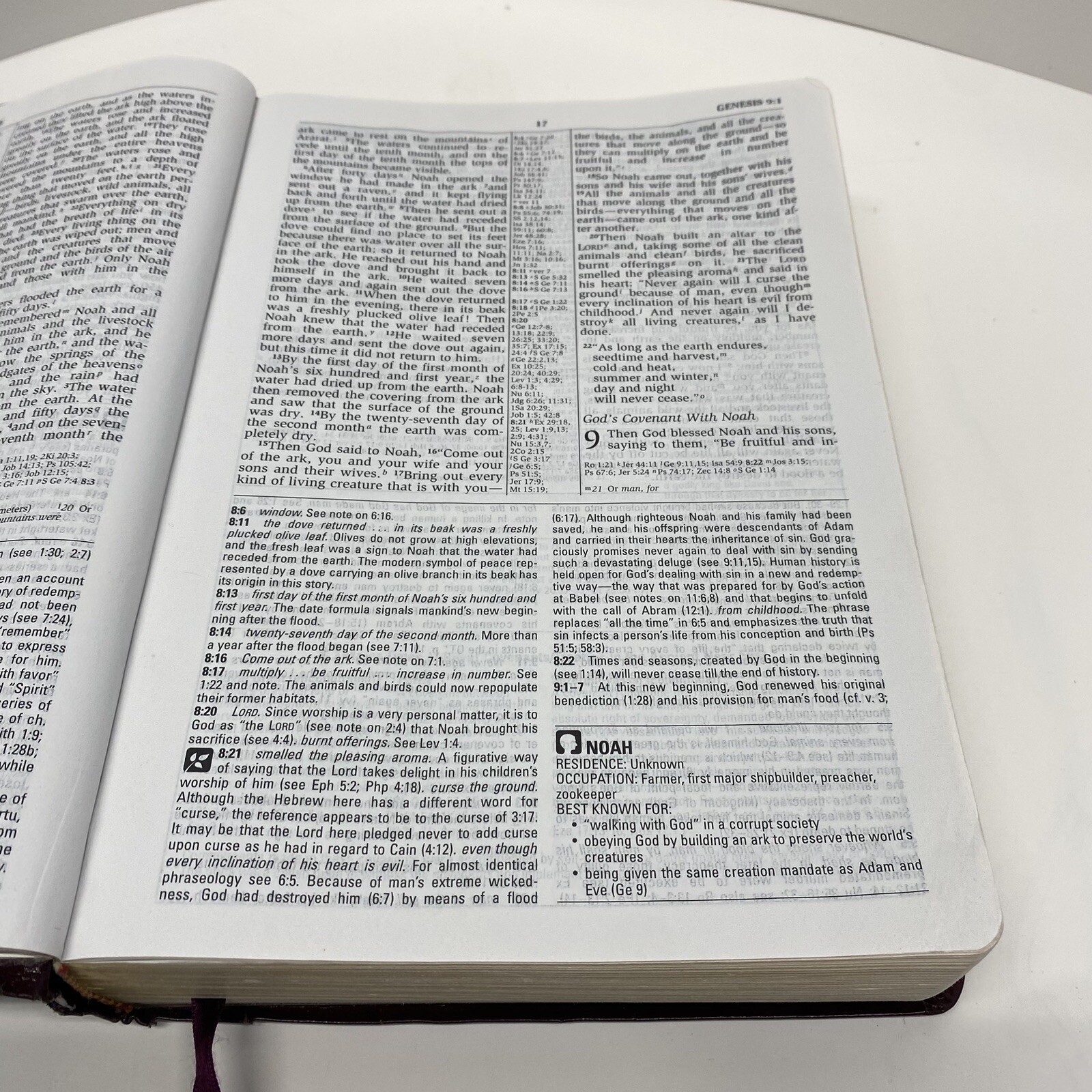 NIV Study Bible 10th Anniversary Edition Burgundy Leather Red Letter Used