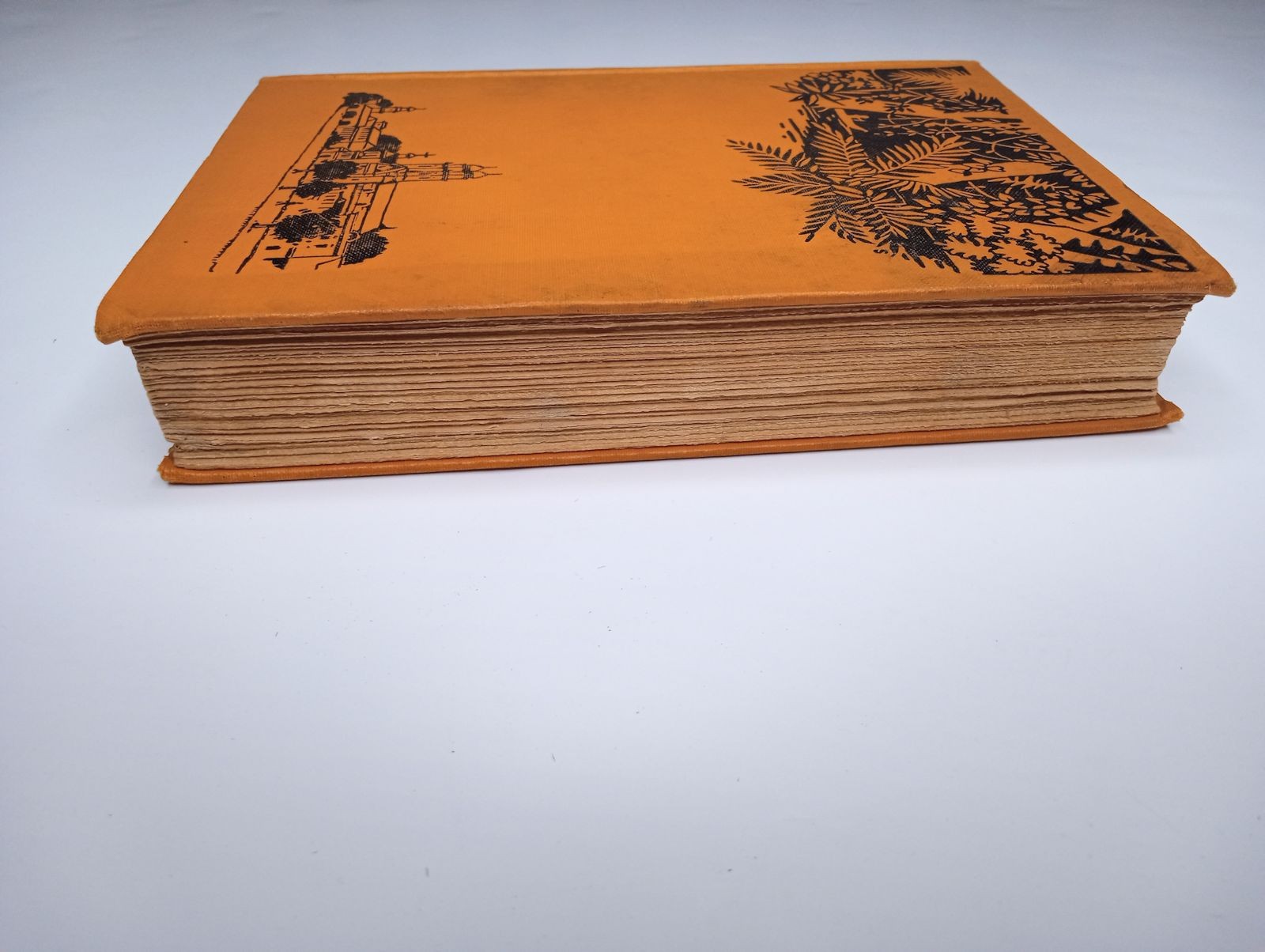 Working North from Patagonia Hardcover Book by Franck, Harry A. 1921 Vintage