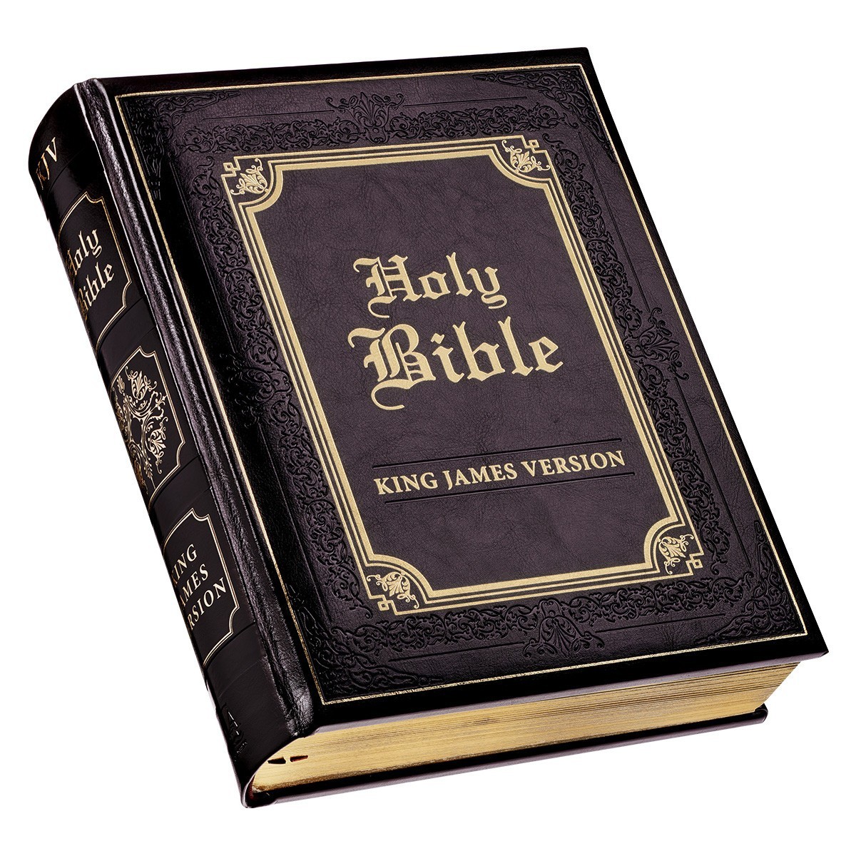 The Holy Bible King James Version Gustave Dore Illustrated Family Bible