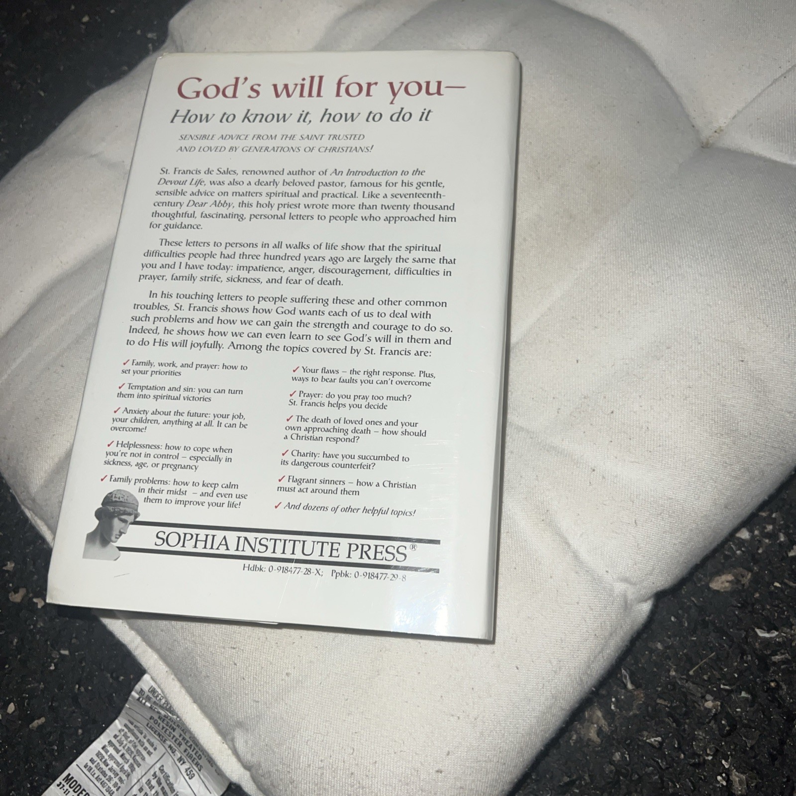 Thy Will Be Done : Letters to Persons in the World by Francis De Sales (1995,…