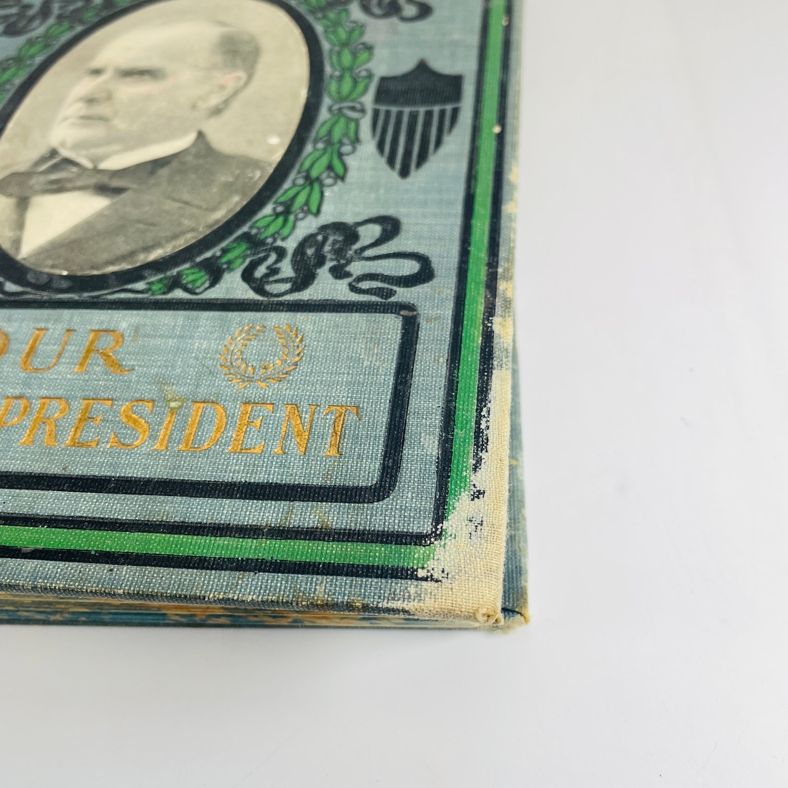Memorial Life of William McKinley Townsend 1901 Illustrated Biography History