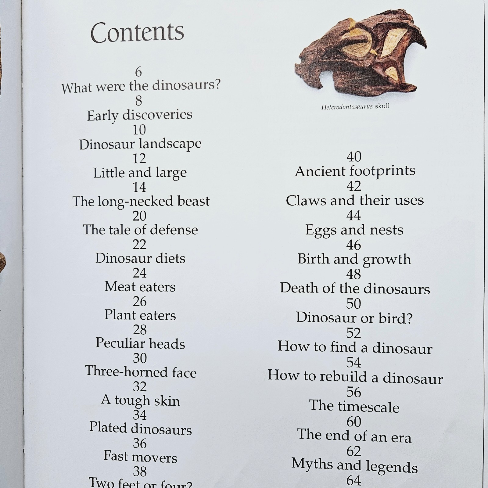 Kids Books About Dinosaurs Lot of 10 Homeschool Classroom Library Eyewitness