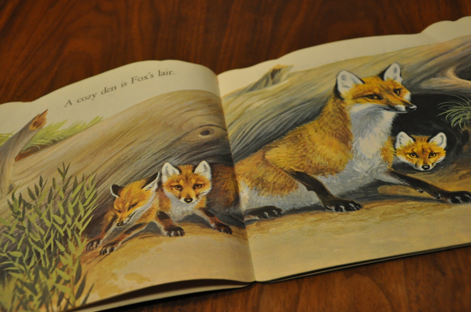 1978 The Home is the Best Children’s Kids Book Golden Press USA Rabbits Vintage