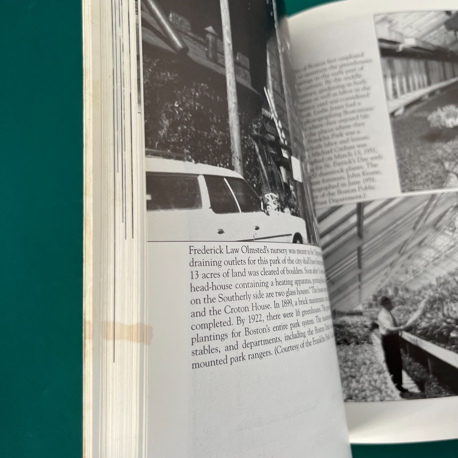 FRANKLIN PARK Boston MA Images of America Book History Vintage Photos