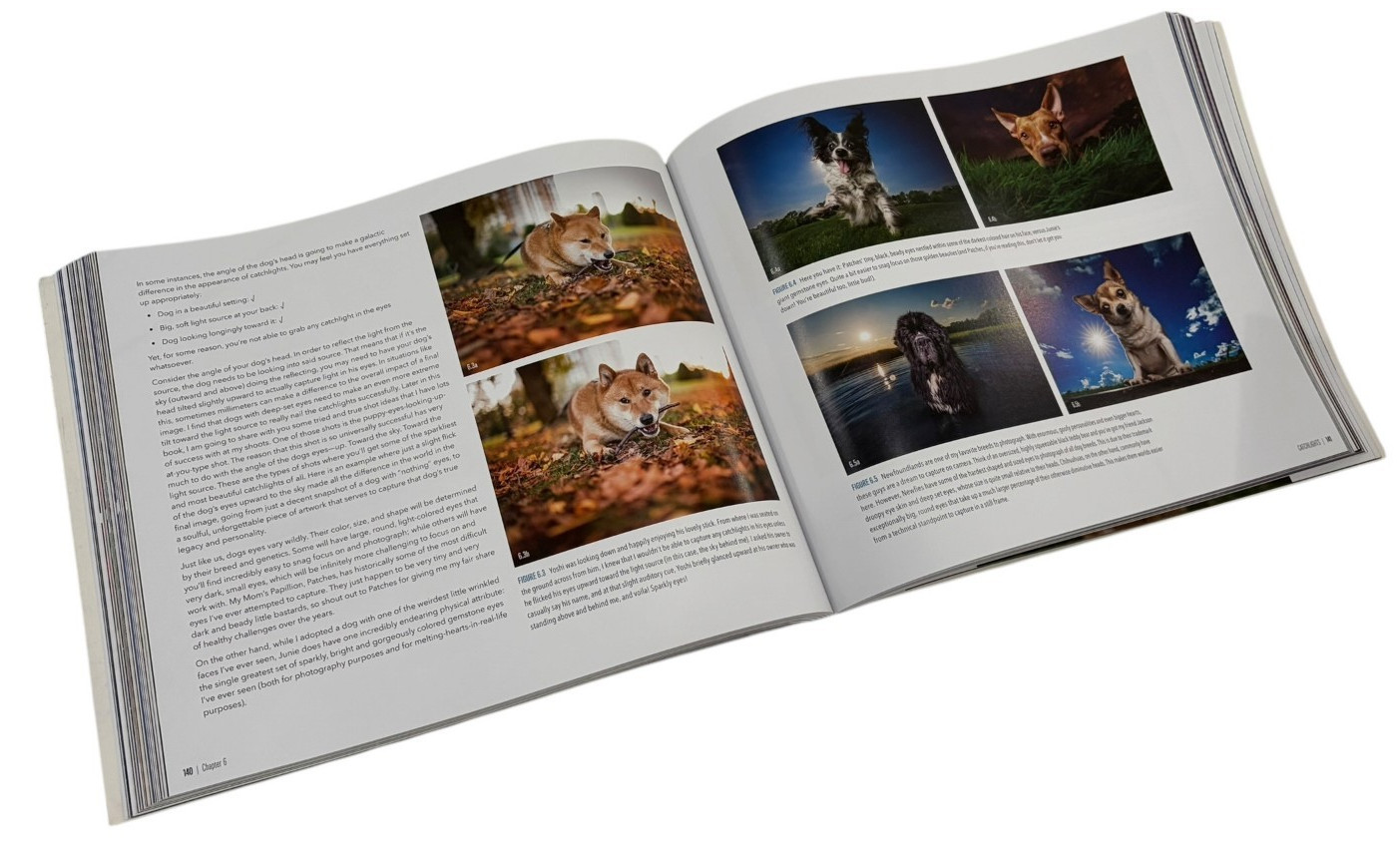 Dogtography Kaylee Greer Dog Photography Guide Rocky Nook Photo Book PB