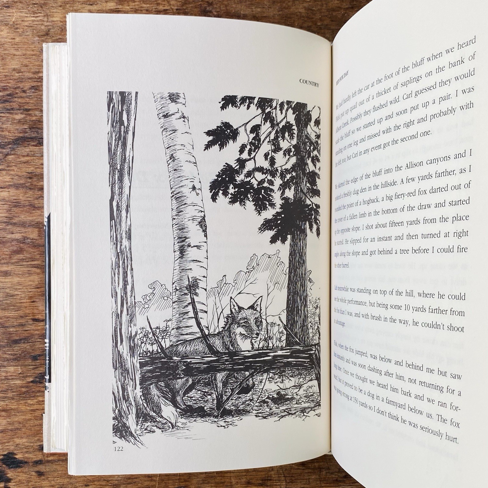 ROUND RIVER: FROM THE JOURNALS OF ALDO LEOPOLD By Luna B. Leopold – Hardcover