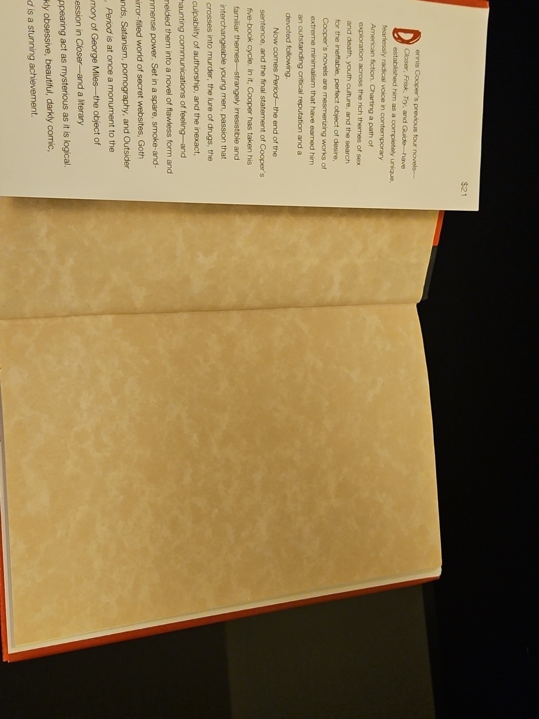 Period by Dennis Cooper (2000, Hardcover) Rare 1st First Edition Very Nice!