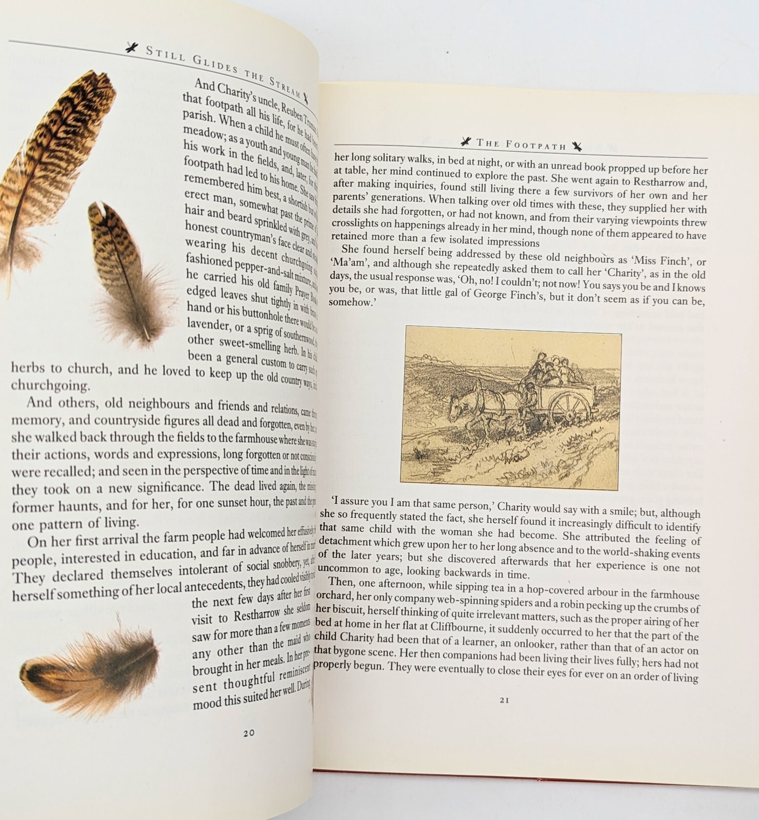 Still Glides The Stream by Flora Thompson, Illustrated US 1st Edition 1985 DJ/HC