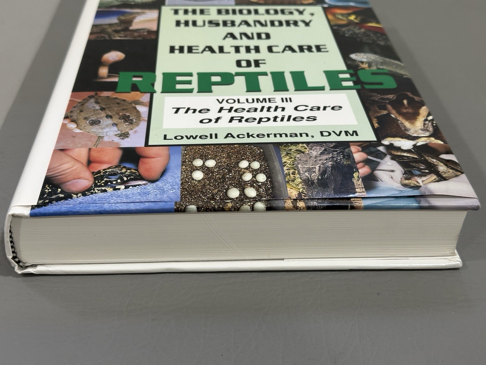 Health Care of Reptiles Vol. 3 (Biology, Husbandry and Health Care Hard Cover