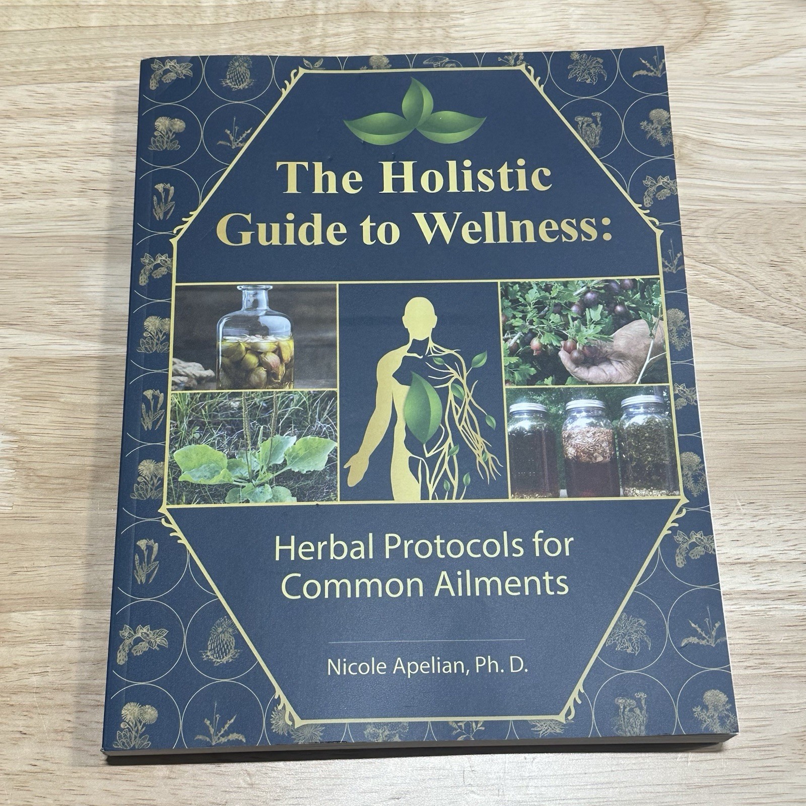 The Holistic Guide to Wellness Apelian 2024 Herbal Protocols Naturopathy Global