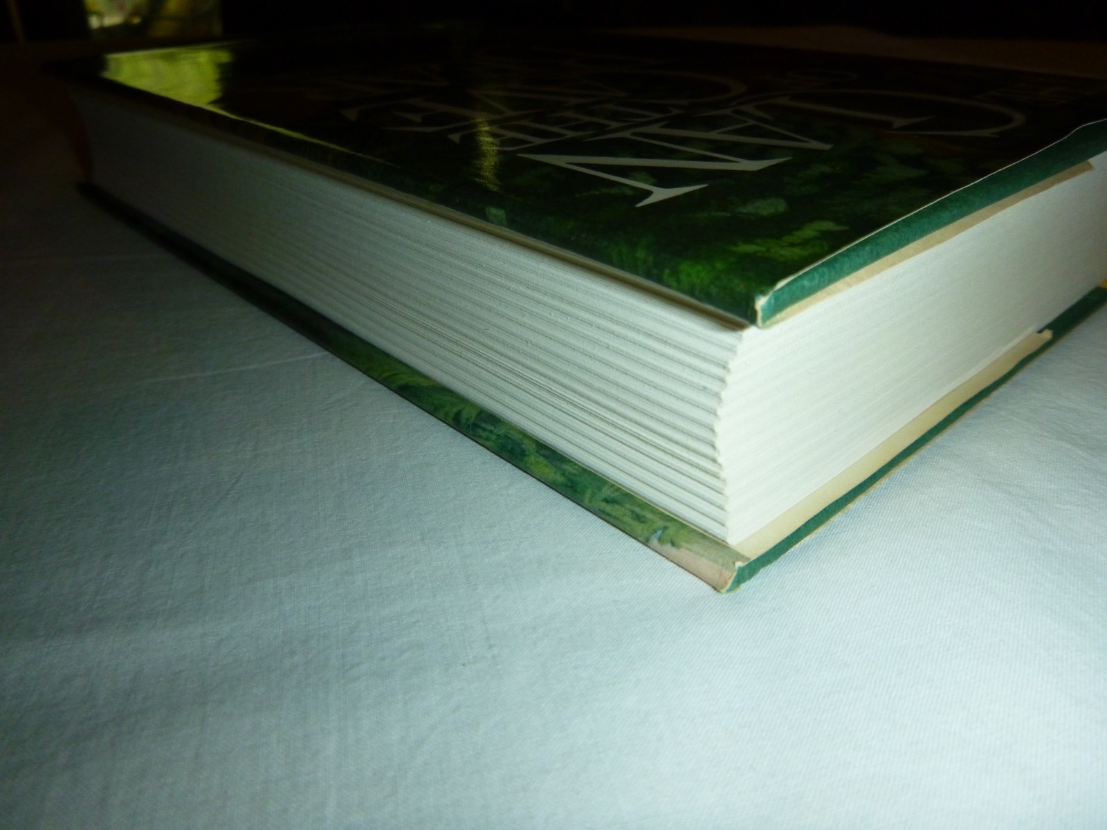 The Clan of the Cave Bear – 1st Ed. /1st Printing Jean M. Auel 1980 HC SIGNED