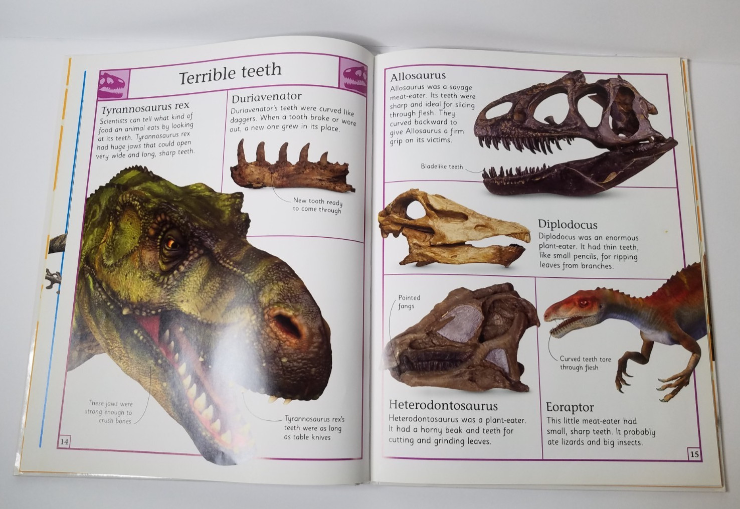 The Big Book of Dinosaurs DK Publishers 2015 HC