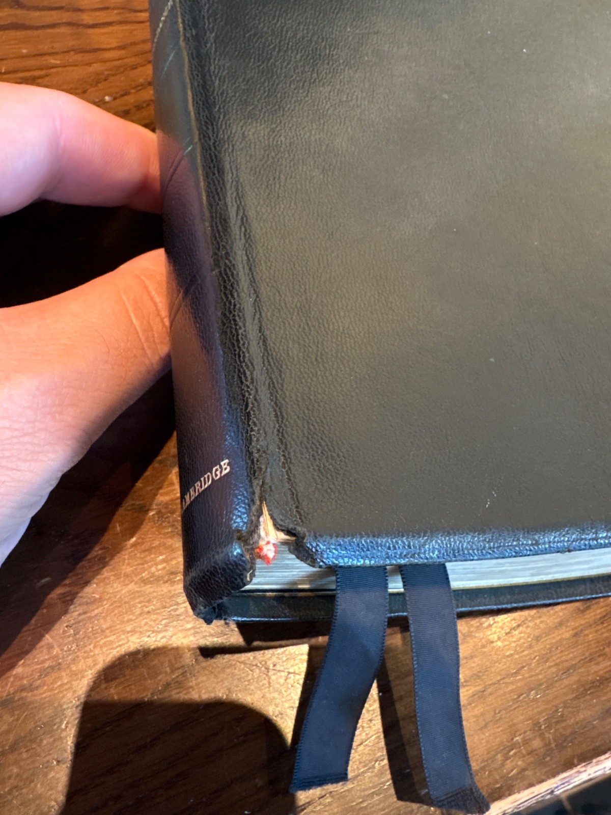cambridge concord kjv bible s@eal leather lined