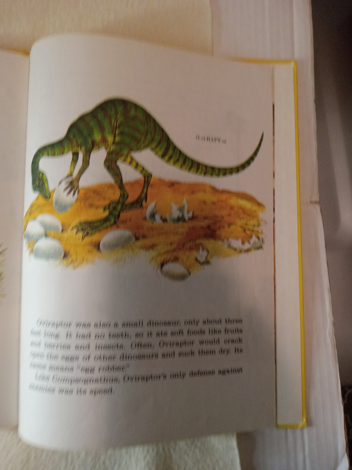 Dinosaurs Giants of the Past by Eileen Daly HC 1976 A Golden Book 12.5 x 9.5 inc