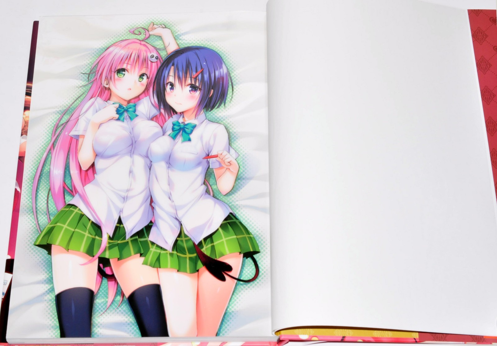 To Love-Ru Darkness Harem Gold Art Book Illustrations + Case 10th anniversary JP