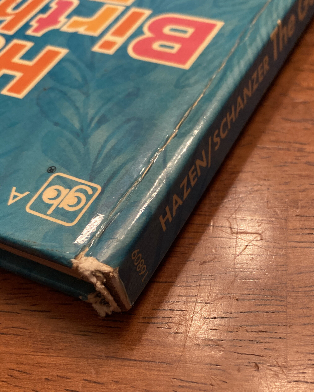 The Golden HAPPY BIRTHDAY BOOK Barbara Shook Hazen Rosalyn Schanzer HB VGC 1976