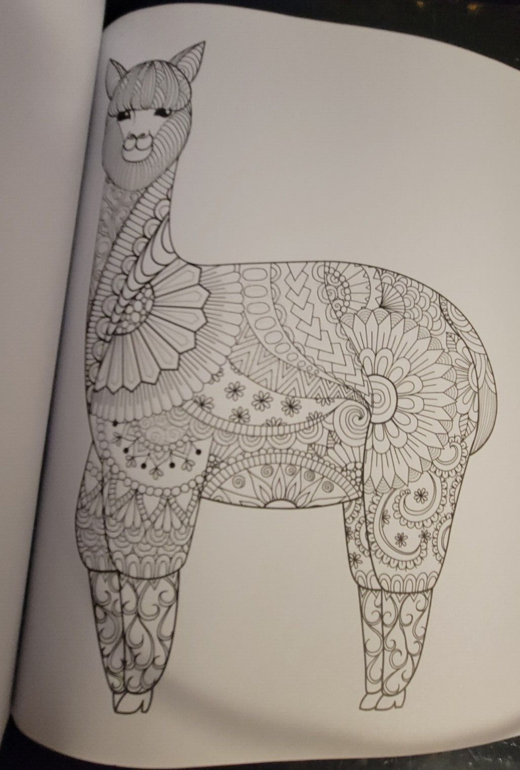 MAJESTIC CREATURES Vol 16 Adult Coloring Book With 47 Prints Ready To Frame