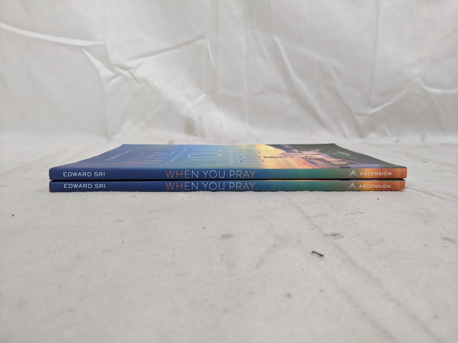 Ascension When You Pray Workbook Edward Sri Paperback 2023: Lot of 2