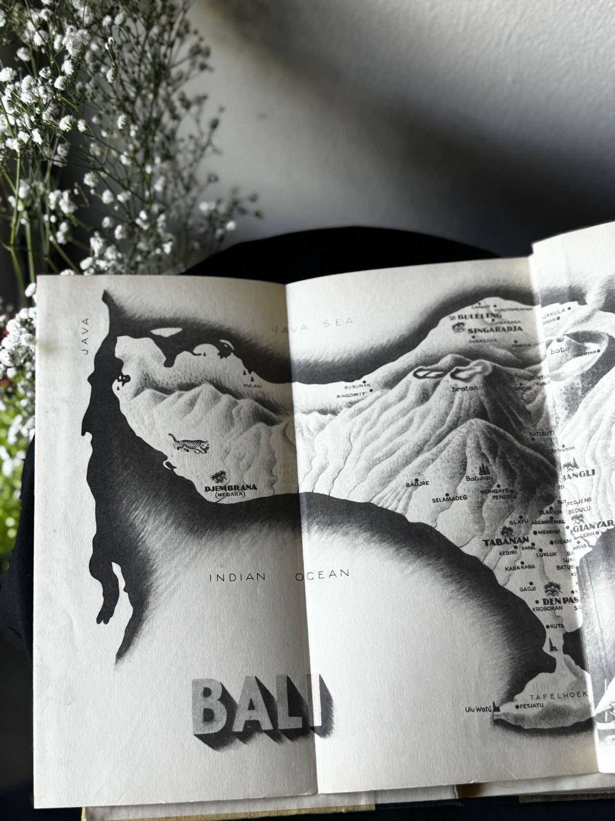 1937 Island of Bali Miguel Covarrubias 1st Edition Knopf Borzoi Hardcover