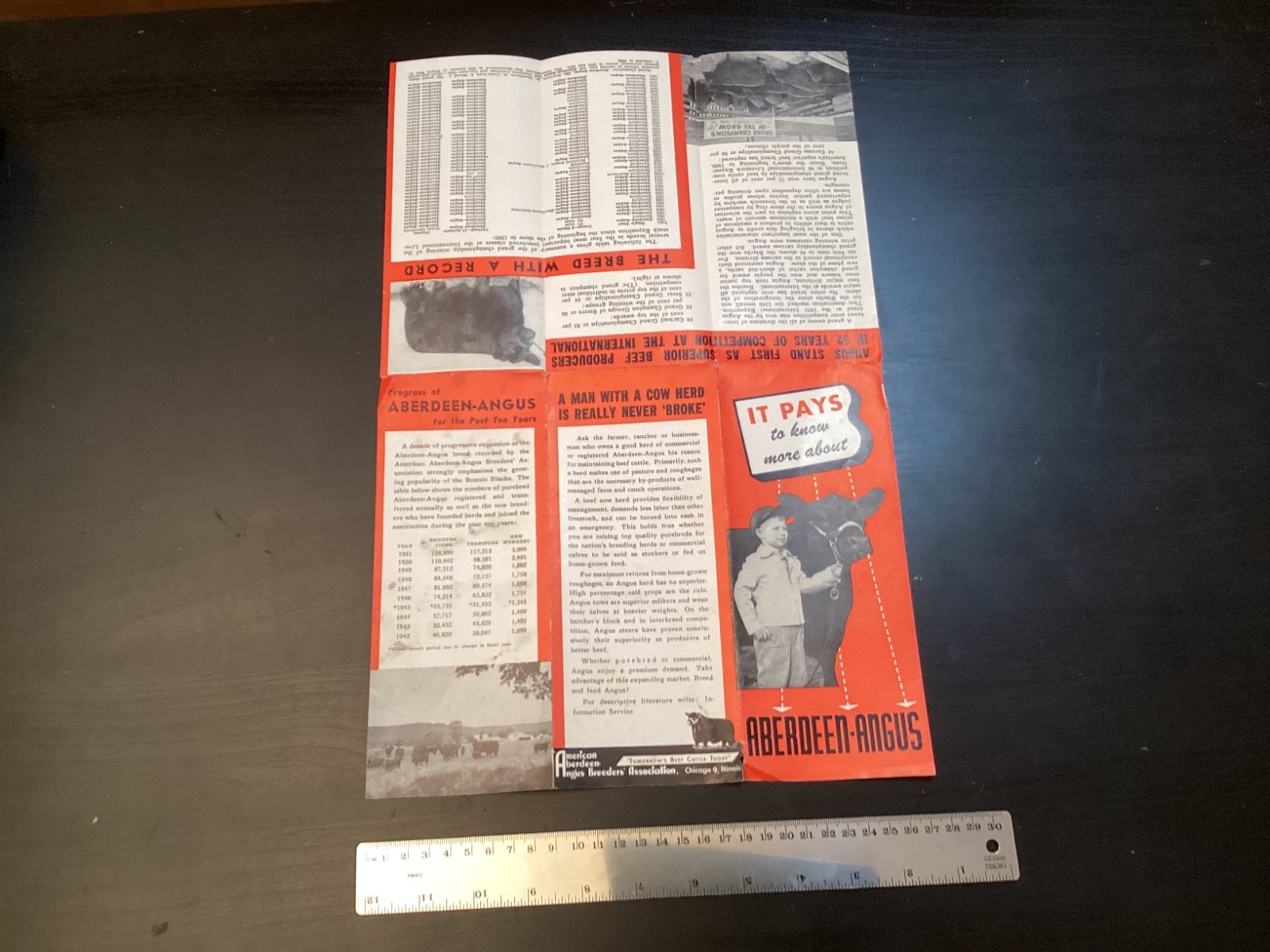 9 Vtg. 1950s Abeerdeen-Angus Books/Booklets History Rules Breeders Sales +