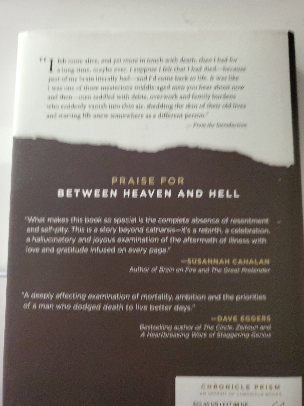 Between Heaven and Hell : The Story of My Stroke by David Talbot (2020,…