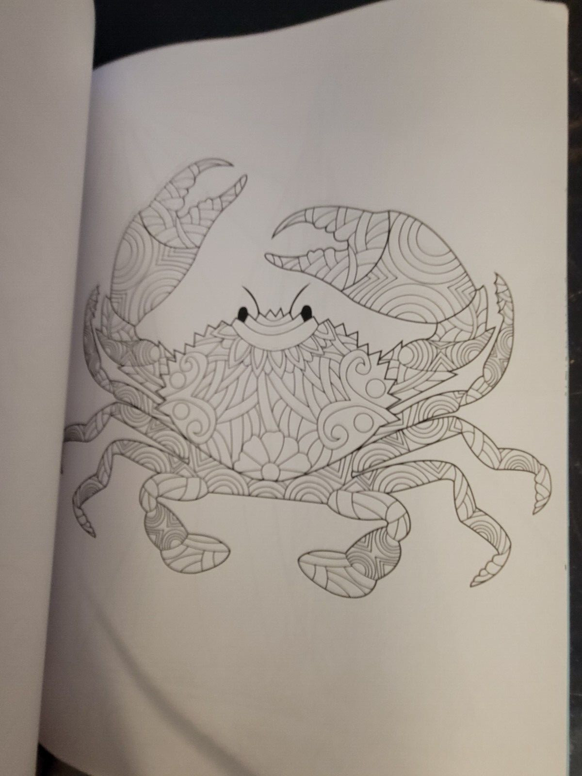 SEASUDE ESCAPES Adult Coloring Book With 62 Prints Ready To Color Relaxing Calm