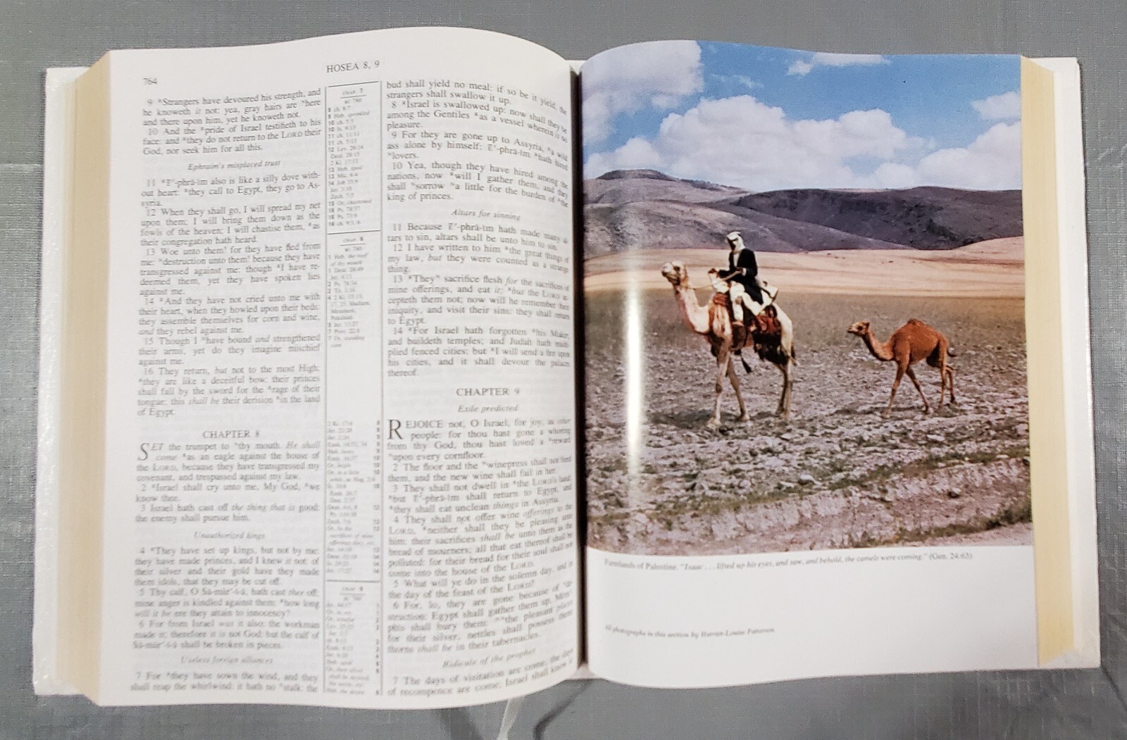 Holy Bible, King James Family, Red Letter Edition r
